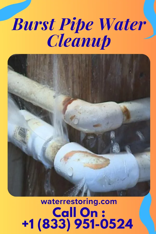 Burst Pipe Water Cleanup in Ellsworth, PA