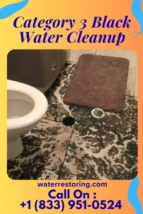 Category 3 Black Water Cleanup in Ellsworth, PA