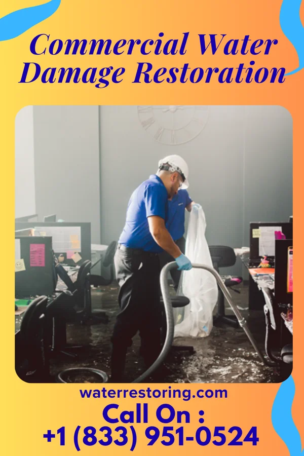 Commercial Water Damage Restoration in Ellsworth, PA