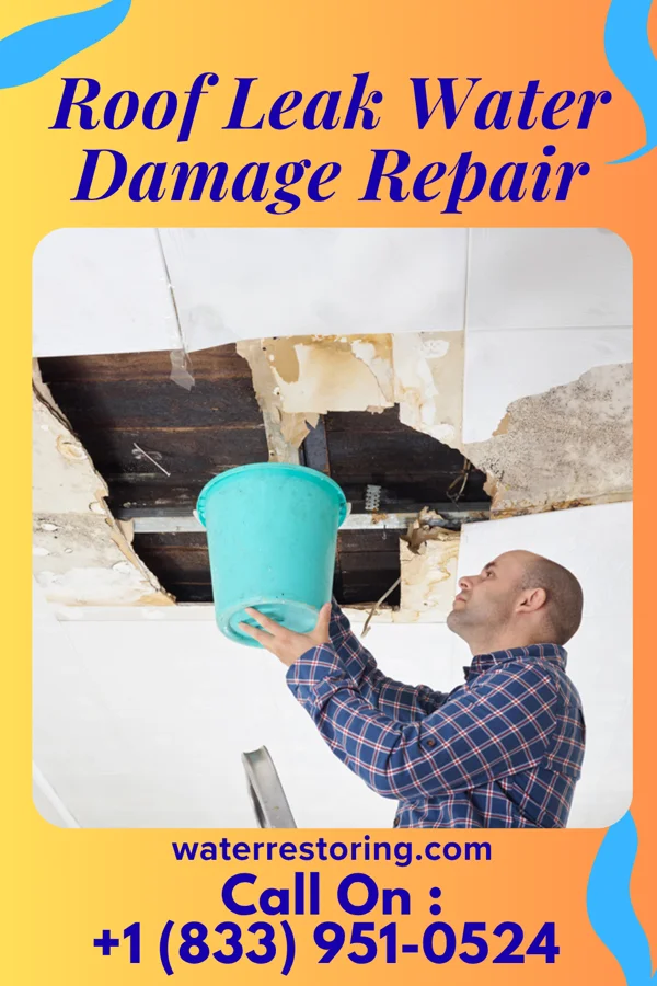 Roof Leak Water Damage Repair in Ellsworth, PA