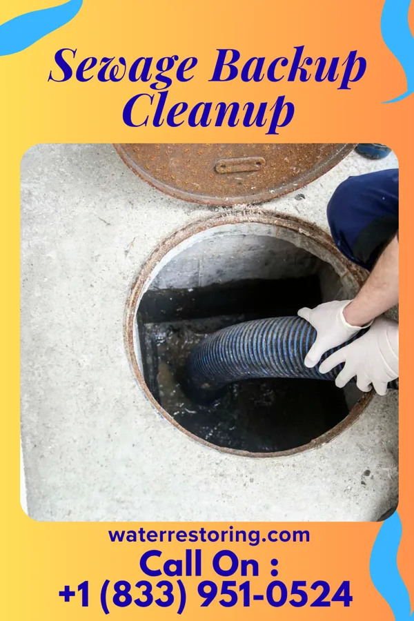 Sewage Backup Cleanup in Ellsworth, PA