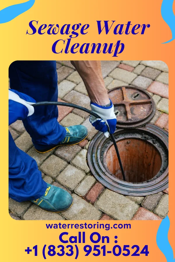 Sewage Water Cleanup in Ellsworth, PA